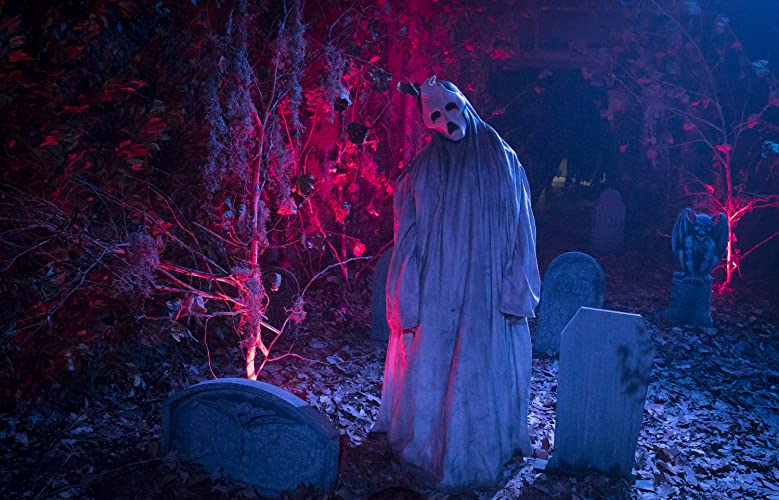 ホーンテッド 世界一怖いお化け屋敷の画像