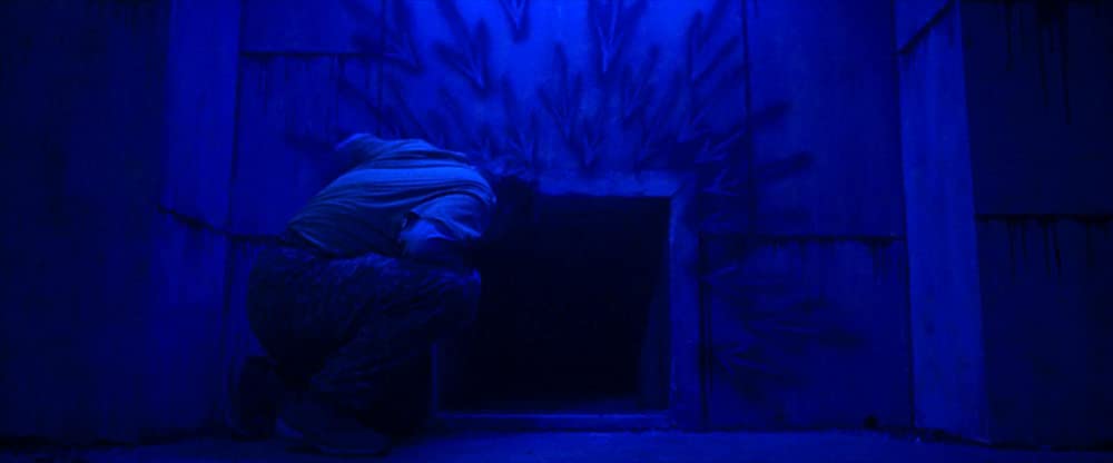 ホーンテッド 世界一怖いお化け屋敷の画像