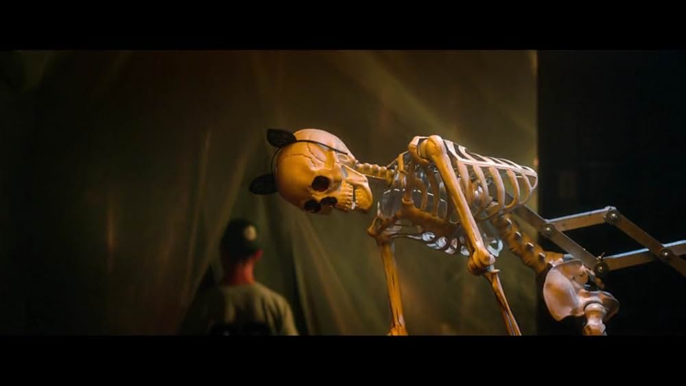 ホーンテッド 世界一怖いお化け屋敷の画像