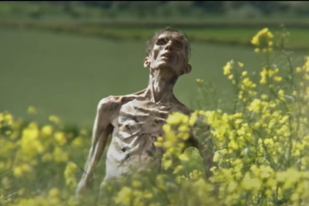 28年後...の画像