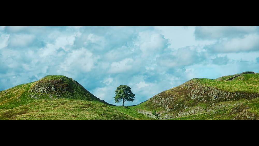 28年後...の画像