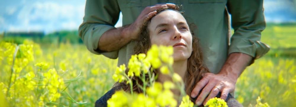 28年後...の画像