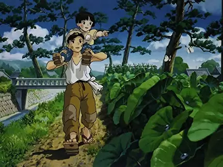 火垂るの墓の画像