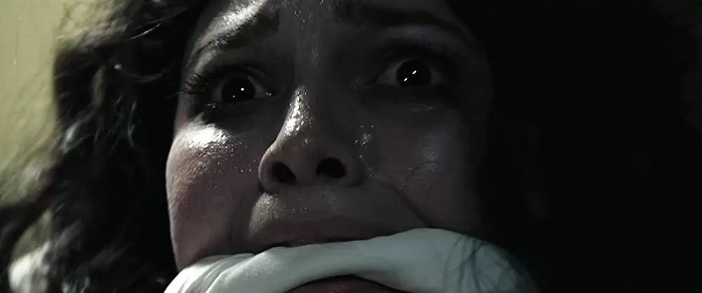 インシディアス 第2章の画像