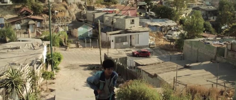 ラ・カルナダ／運び屋の画像