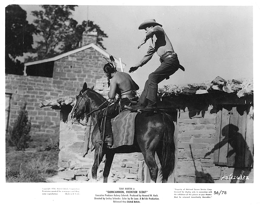 殴り込み大平原の画像