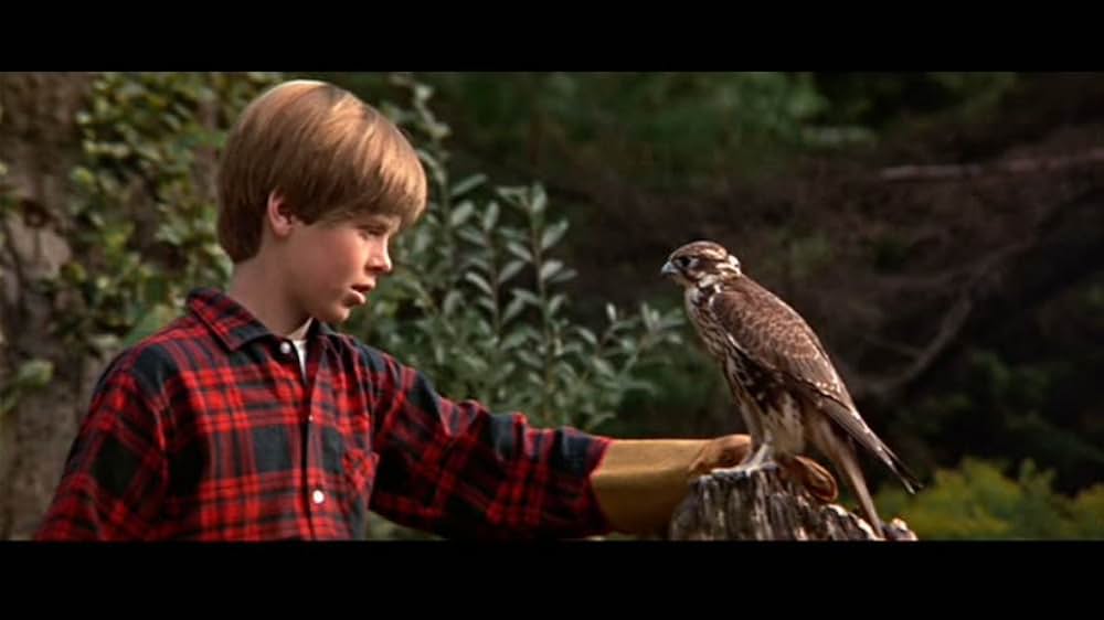 少年と鷹の画像