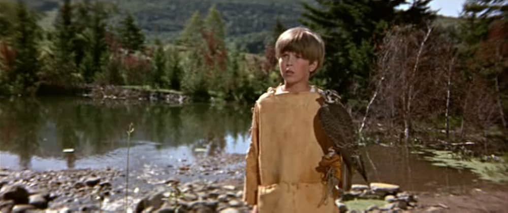 少年と鷹の画像