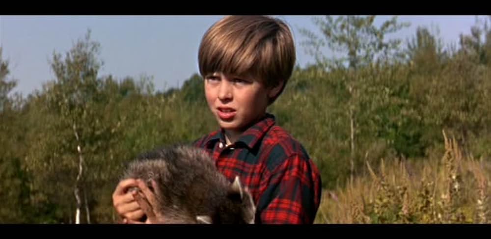 少年と鷹の画像