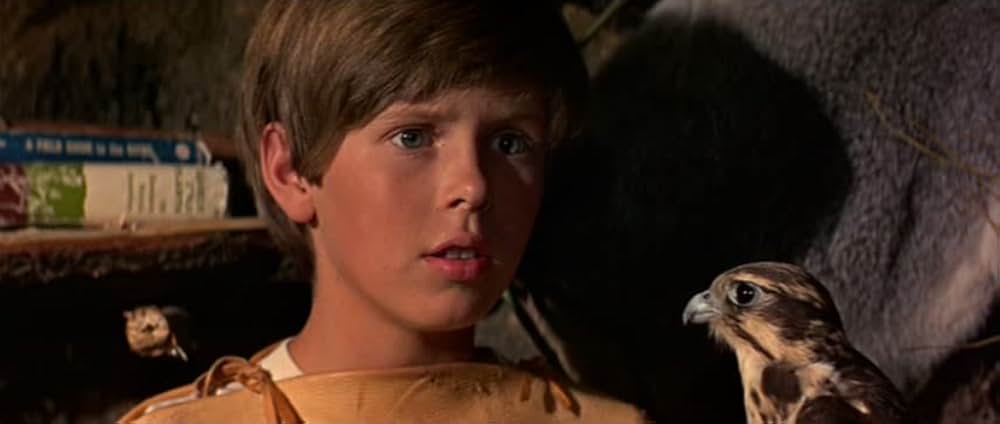 少年と鷹の画像