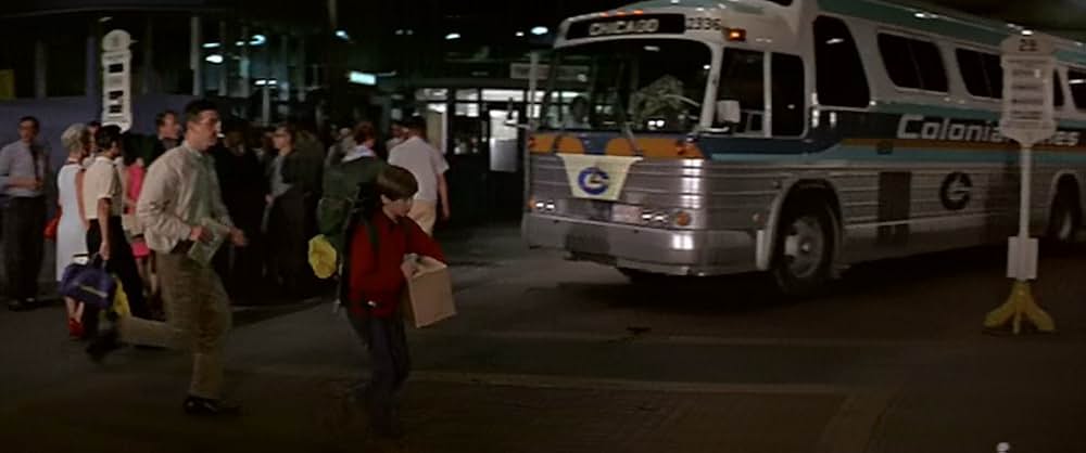 少年と鷹の画像