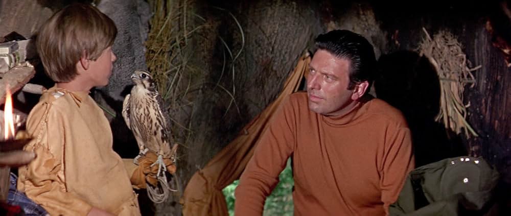 少年と鷹の画像