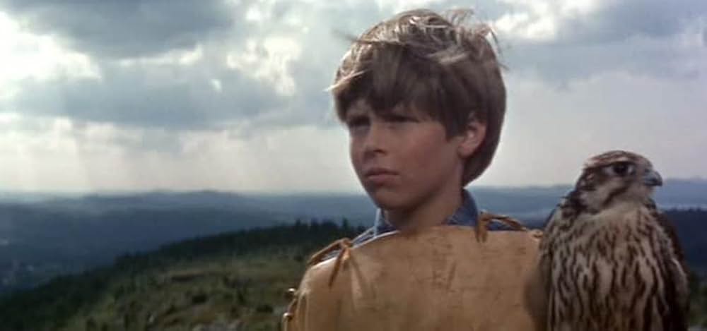 少年と鷹の画像