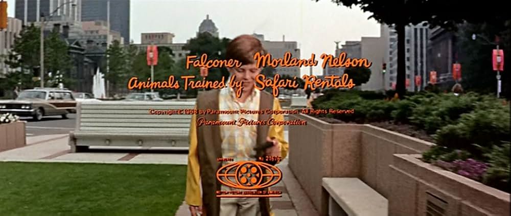 少年と鷹の写真