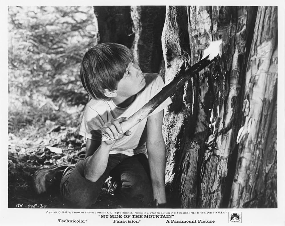 少年と鷹の画像