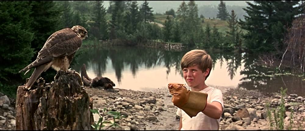 少年と鷹の画像