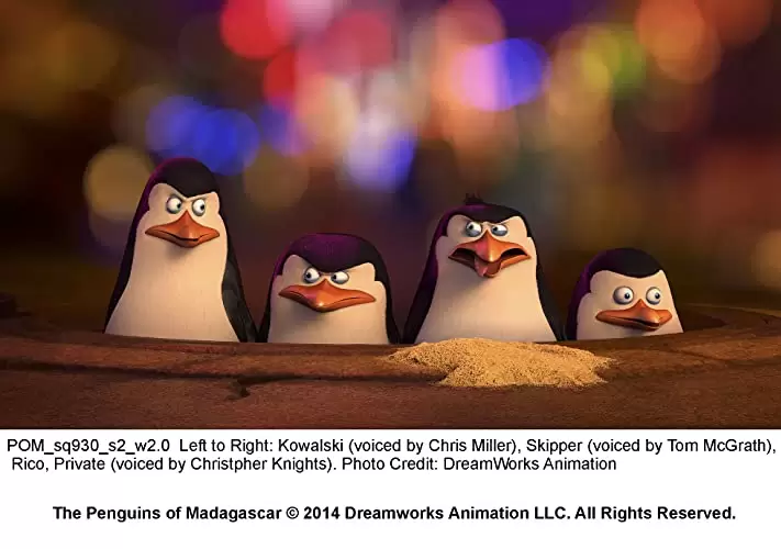 「ペンギンズ FROM マダガスカル ザ・ムービー」トム・マクグラス & コンラッド・バーノン & クリストファー・ナイツの画像