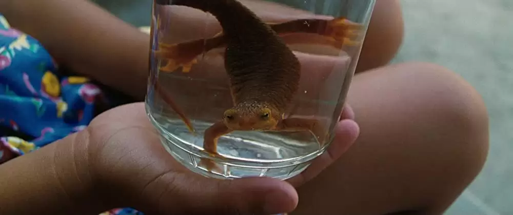 マチルダの画像