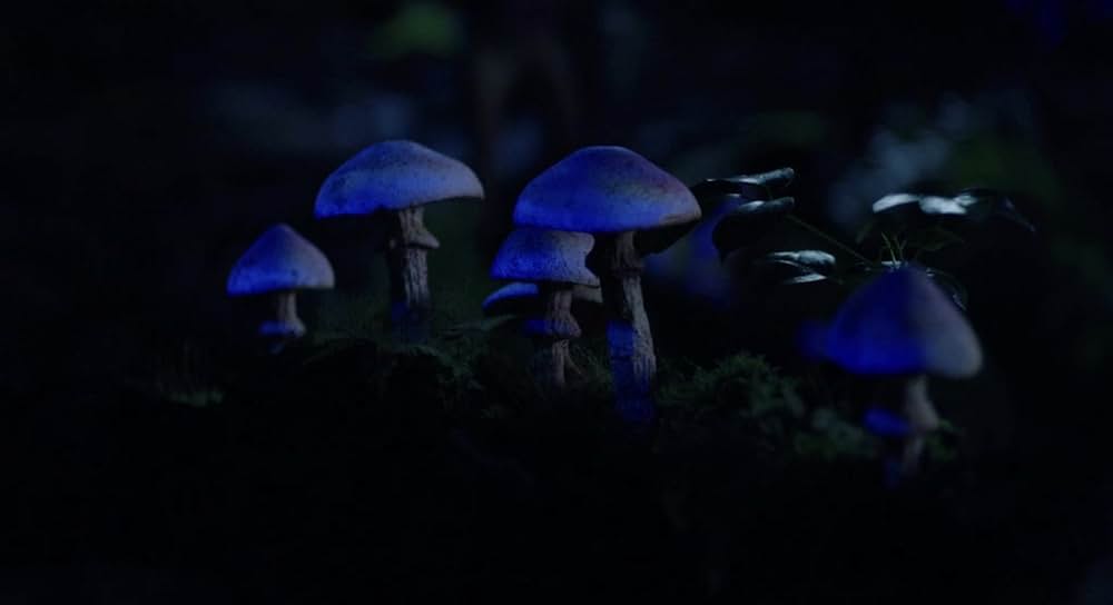 「センター・オブ・ジ・アース2 神秘の島」の画像