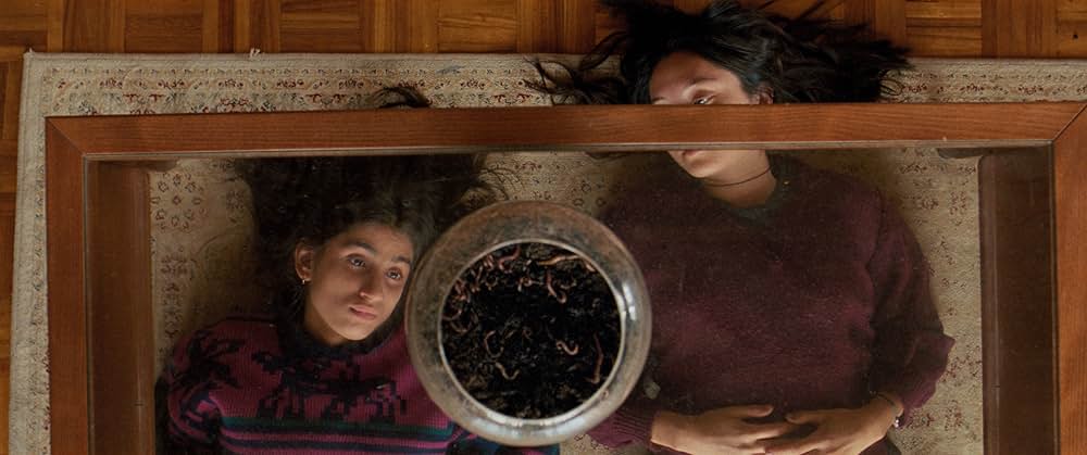 九⽉と七⽉の姉妹の画像