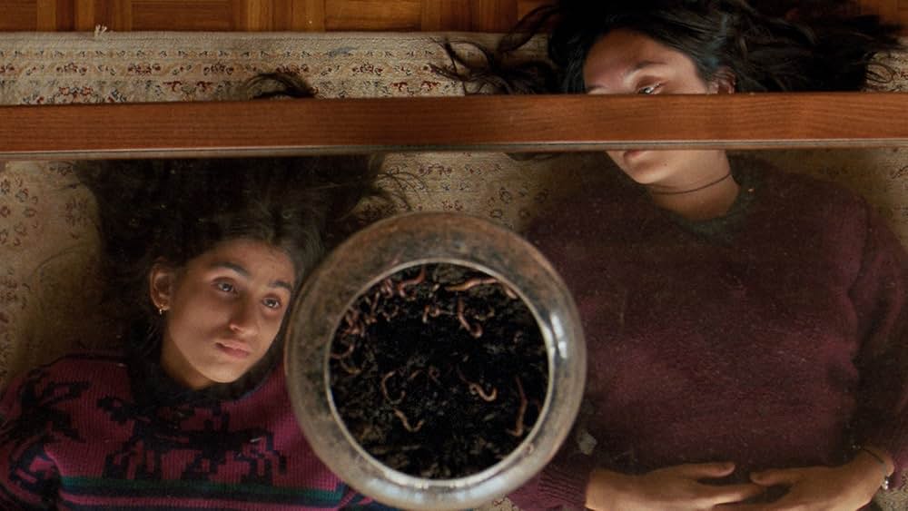 九⽉と七⽉の姉妹の画像