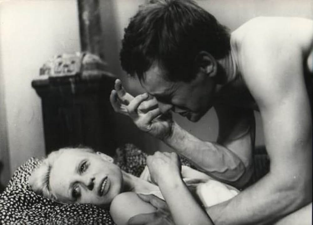 ザ・コンダクターの画像