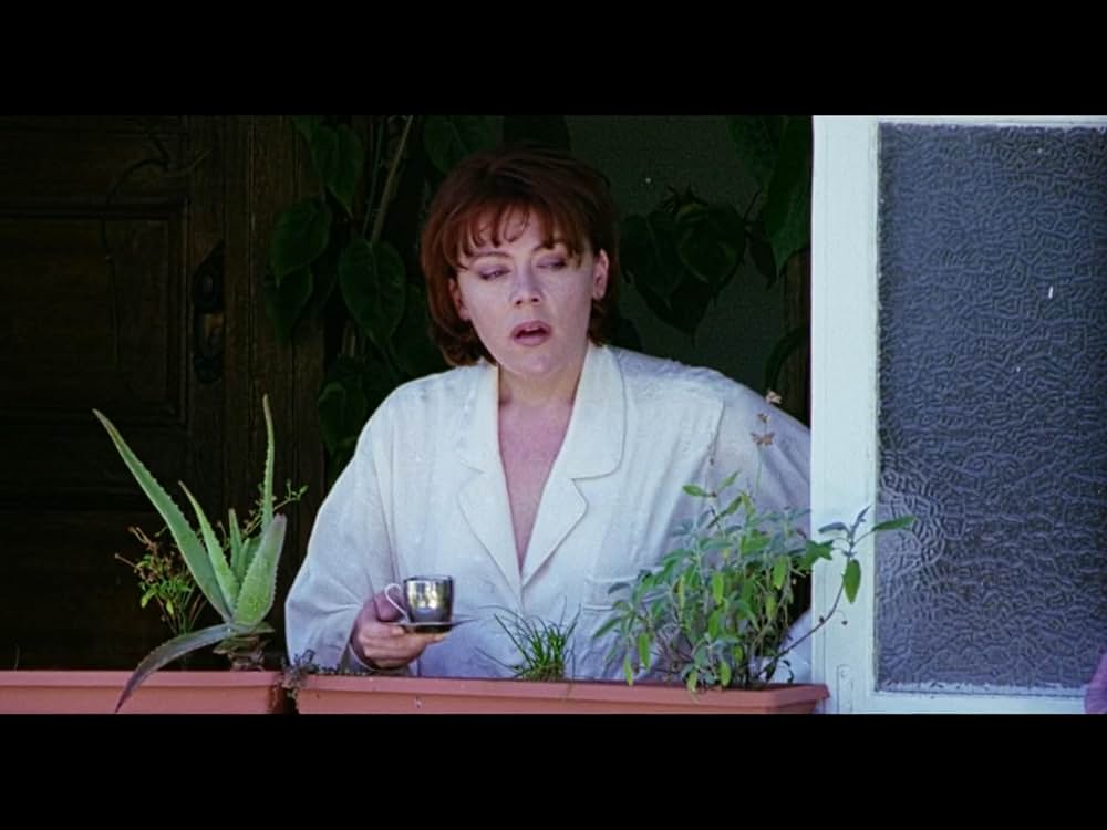 月に願いをの画像