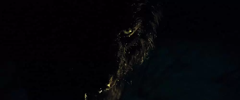 ザ・グレイ 凍える太陽の画像