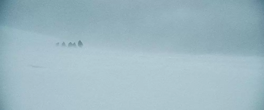 ザ・グレイ 凍える太陽の画像