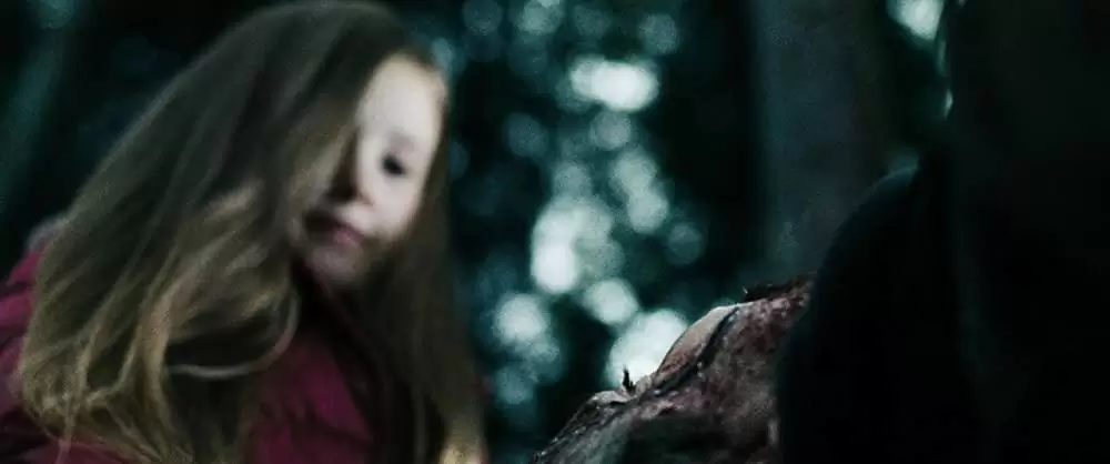 ザ・グレイ 凍える太陽の画像