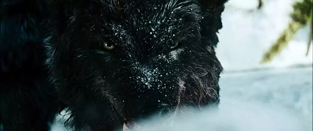 ザ・グレイ 凍える太陽の画像