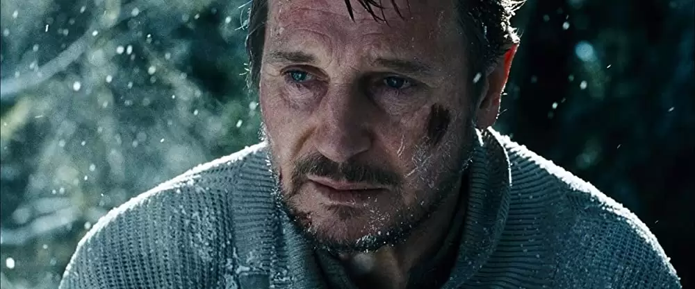 ザ・グレイ 凍える太陽の画像