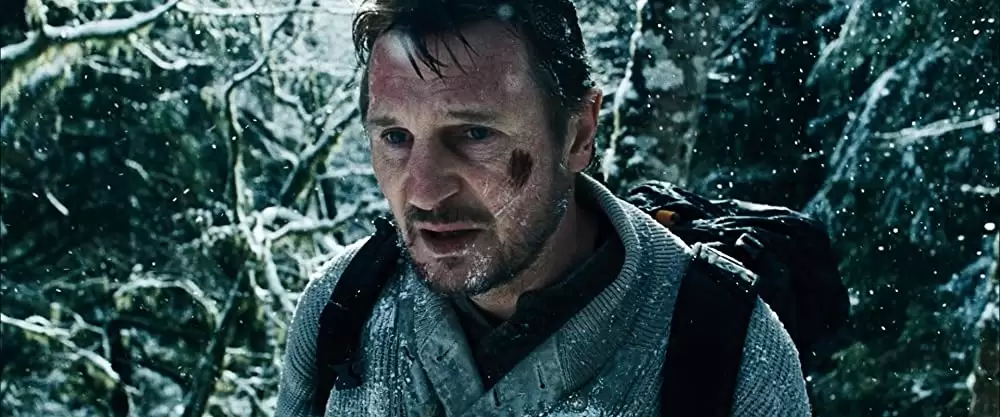 ザ・グレイ 凍える太陽の画像