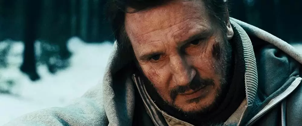 ザ・グレイ 凍える太陽の画像