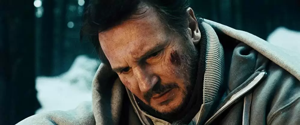 ザ・グレイ 凍える太陽の画像