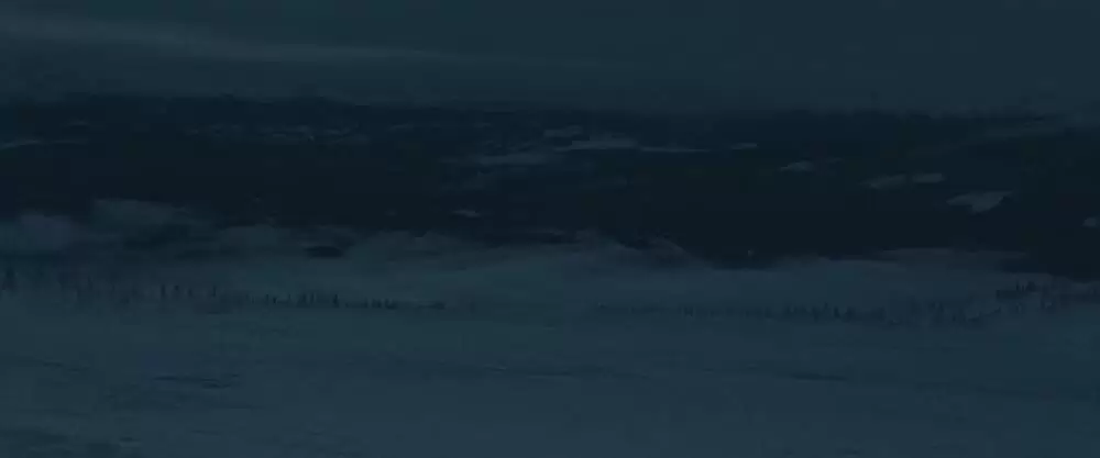 ザ・グレイ 凍える太陽の画像