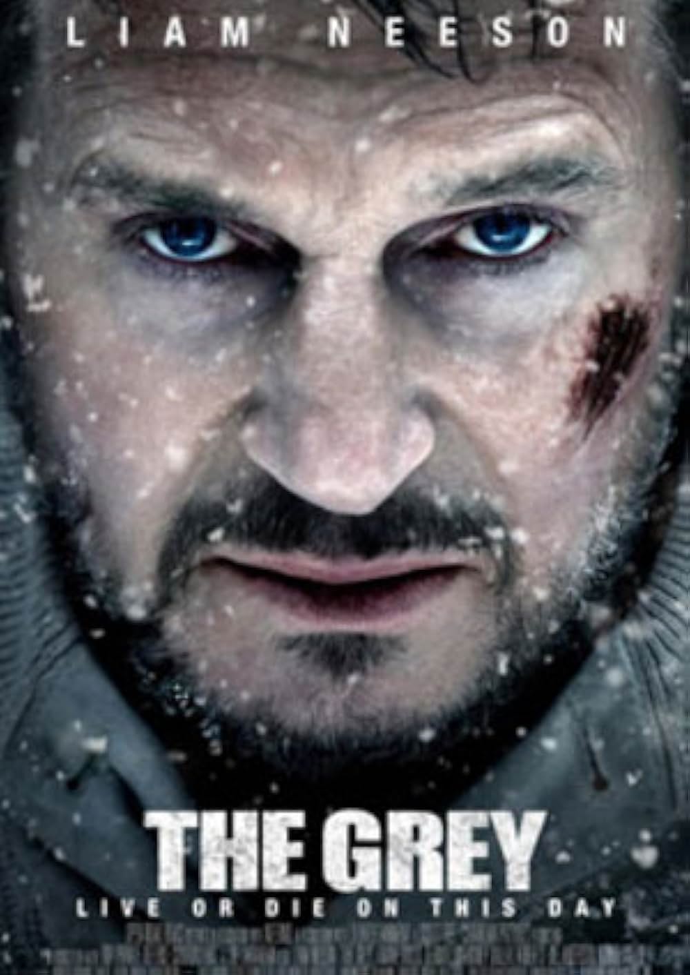 ザ・グレイ 凍える太陽の画像