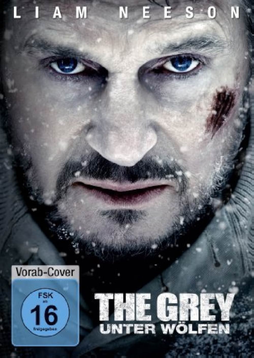 ザ・グレイ 凍える太陽の画像