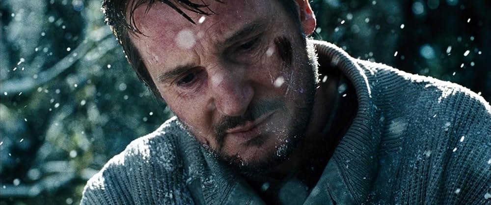 ザ・グレイ 凍える太陽の画像