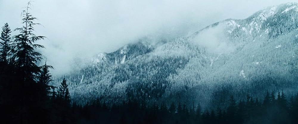 ザ・グレイ 凍える太陽の画像