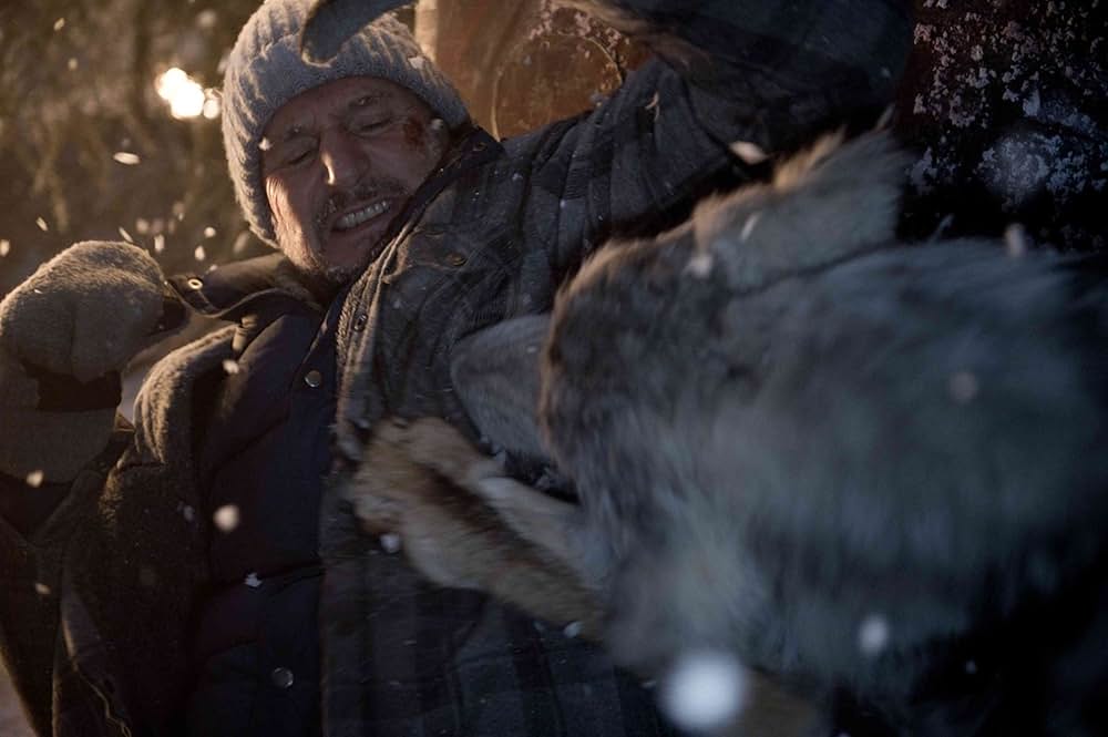 ザ・グレイ 凍える太陽の画像