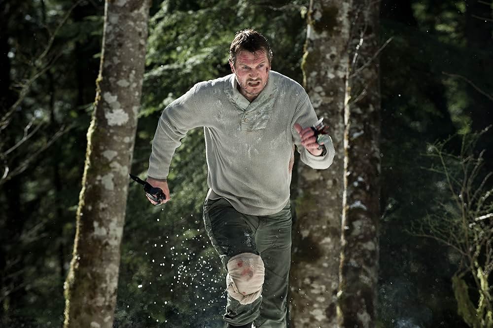 ザ・グレイ 凍える太陽の画像