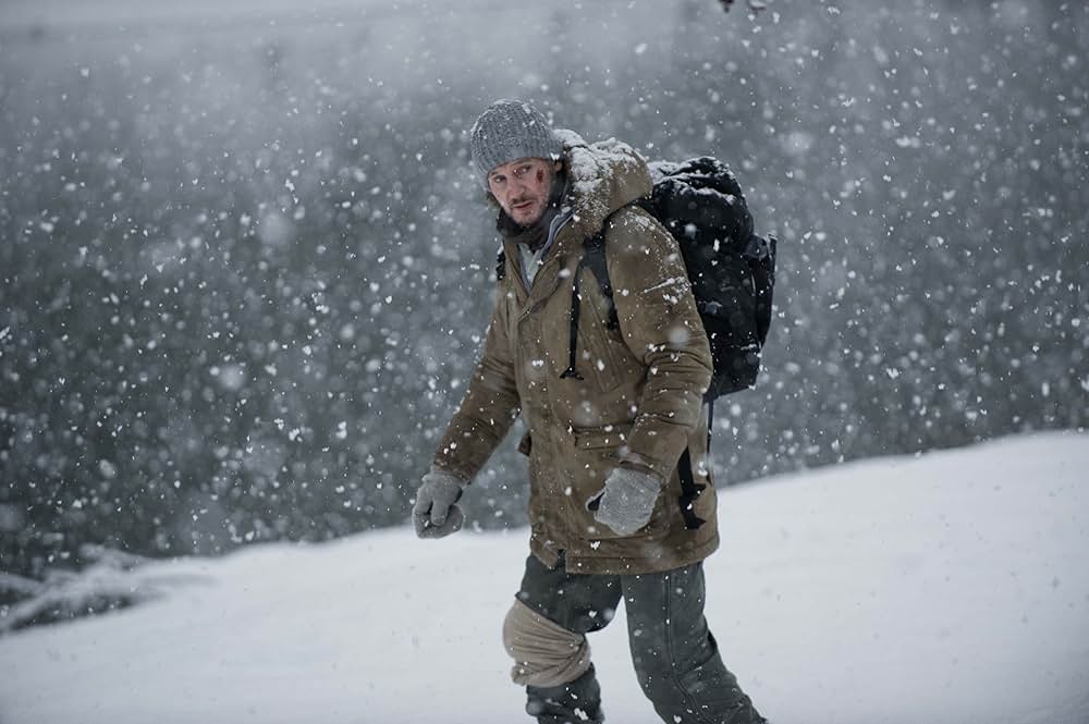 ザ・グレイ 凍える太陽の画像