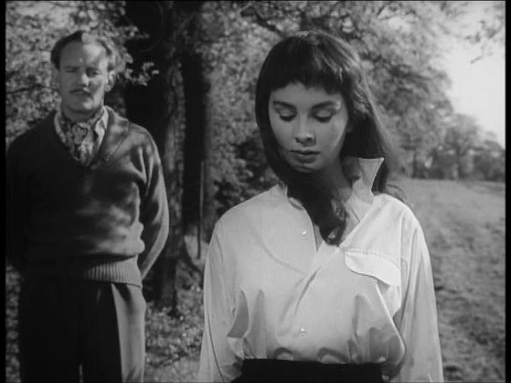 The Clouded Yellow（原題）の画像