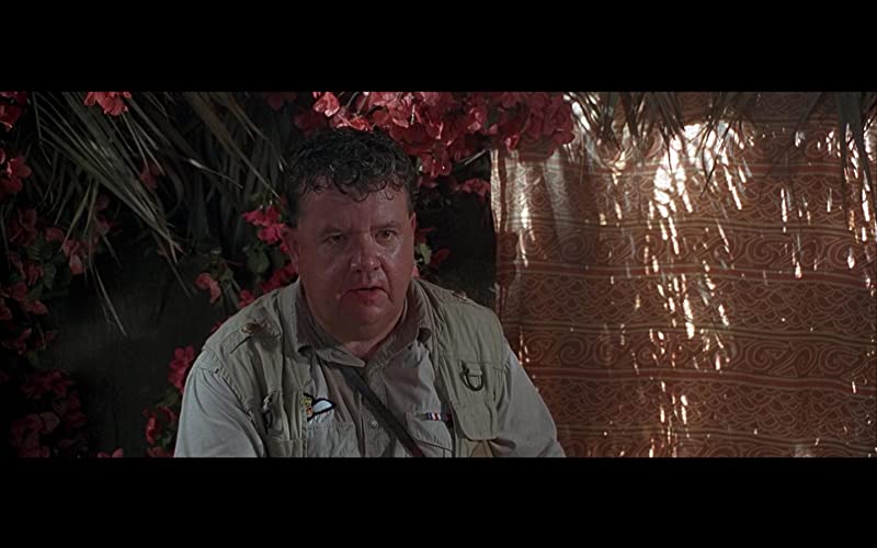 ジム・キャリーのエースにおまかせ!の画像