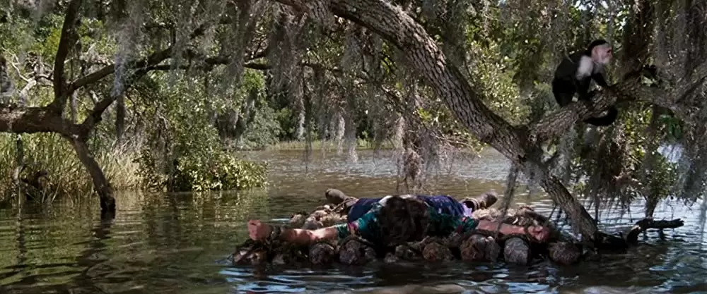 ジム・キャリーのエースにおまかせ!の画像