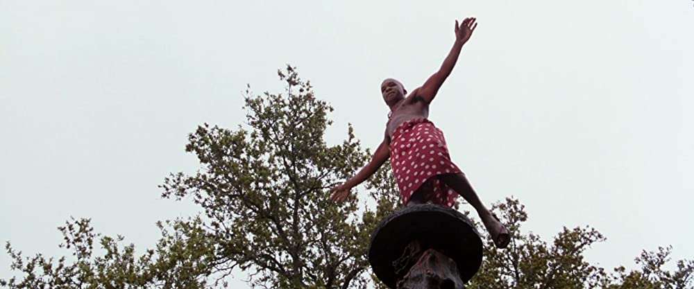 ジム・キャリーのエースにおまかせ!の画像