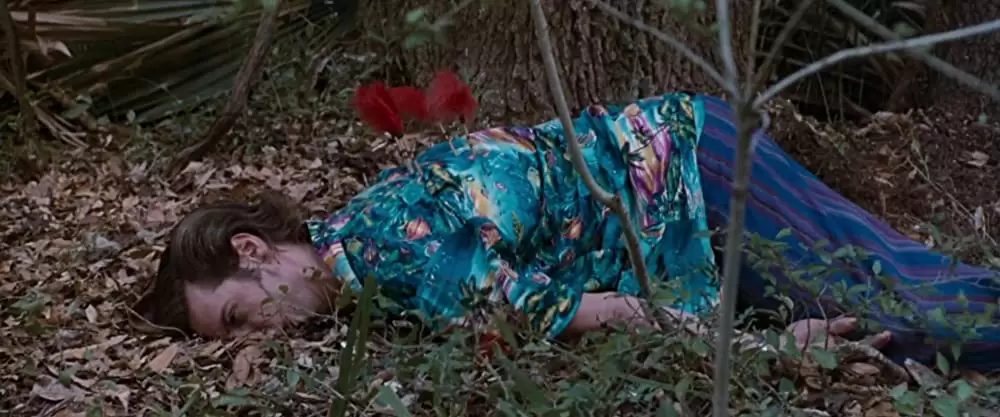 ジム・キャリーのエースにおまかせ!の画像