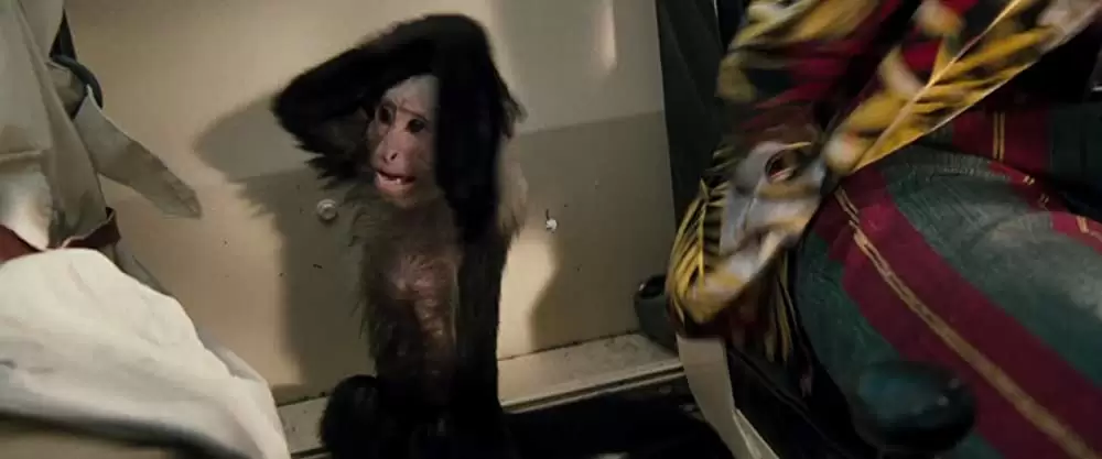 ジム・キャリーのエースにおまかせ!の画像