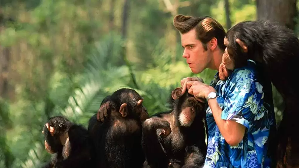 ジム・キャリーのエースにおまかせ!の画像